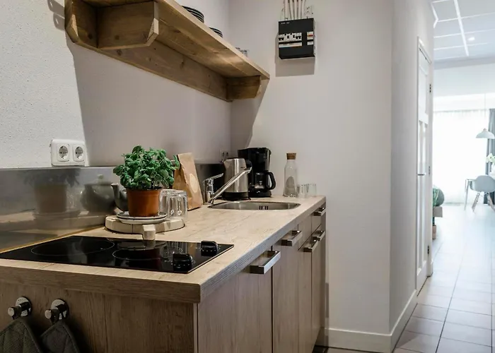 Holiday home Duynsuites Aan Zee *